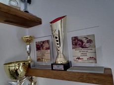 311459761_507245817641493_1074566835584016781_n (1).jpg